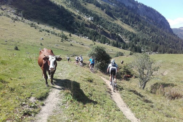 Ecole de VTT des Aravis