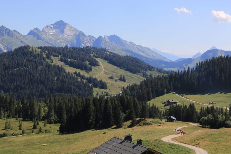 Vue depuis le Plateau de Beauregard