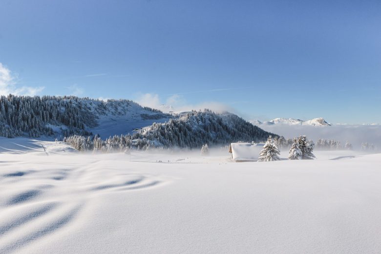 Plateau de Beauregard en hiver